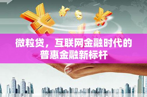 正宁微粒贷，互联网金融时代的普惠金融新标杆