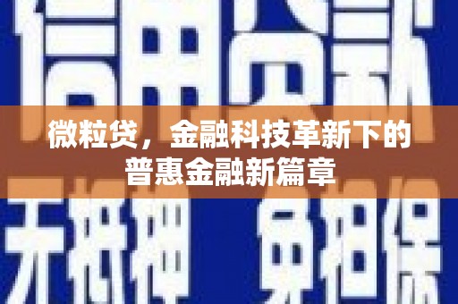 正宁微粒贷，金融科技革新下的普惠金融新篇章