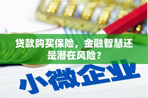 正宁贷款购买保险，金融智慧还是潜在风险？