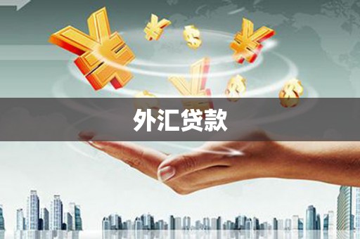 正宁外汇贷款