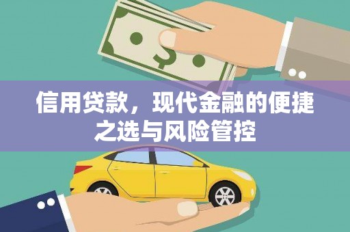 正宁信用贷款，现代金融的便捷之选与风险管控