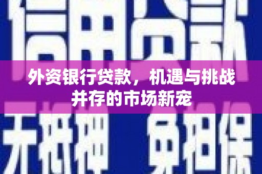 正宁外资银行贷款，机遇与挑战并存的市场新宠