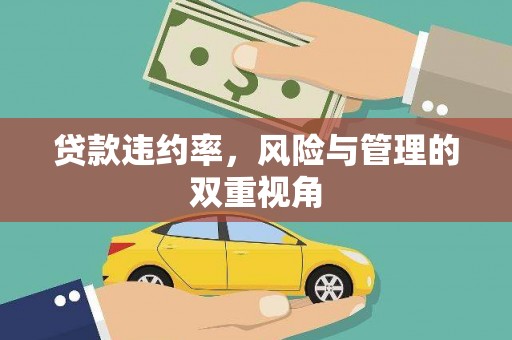 正宁贷款违约率，风险与管理的双重视角