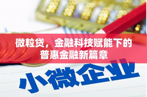 正宁微粒贷，金融科技赋能下的普惠金融新篇章