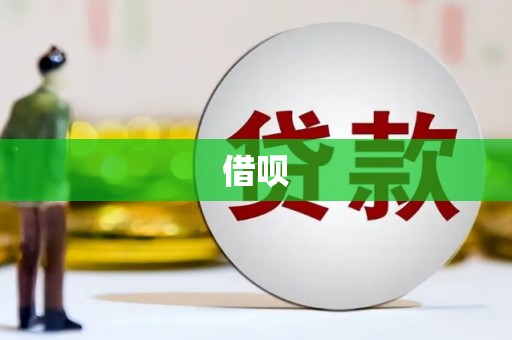 正宁借呗