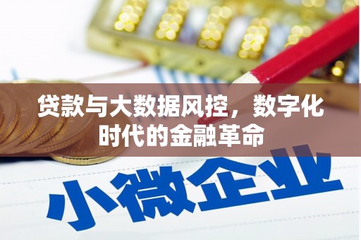 正宁贷款与大数据风控，数字化时代的金融革命