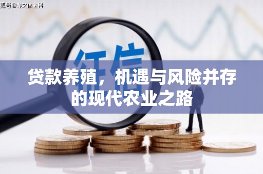 正宁贷款养殖，机遇与风险并存的现代农业之路