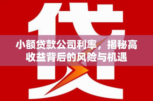 正宁小额贷款公司利率，揭秘高收益背后的风险与机遇