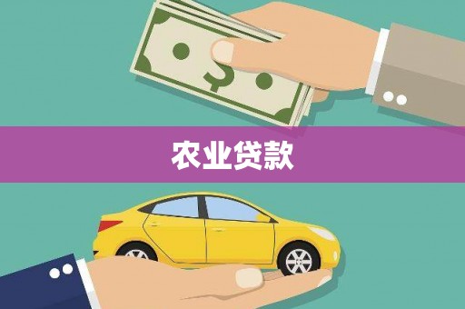 正宁农业贷款