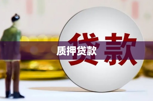正宁质押贷款