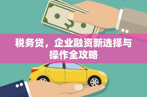 正宁税务贷，企业融资新选择与操作全攻略