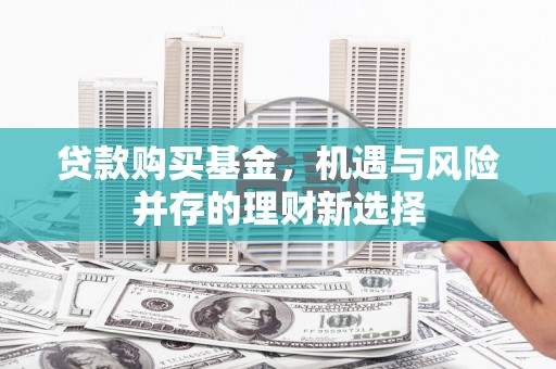 正宁贷款购买基金，机遇与风险并存的理财新选择