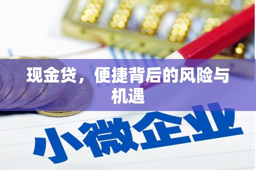 正宁现金贷，便捷背后的风险与机遇