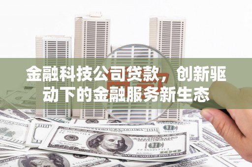 正宁金融科技公司贷款，创新驱动下的金融服务新生态