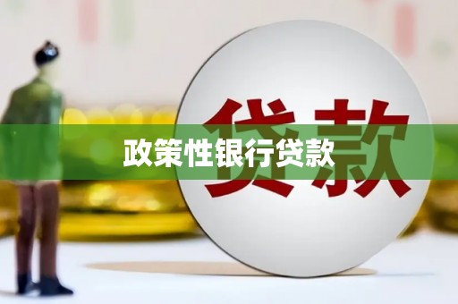 正宁政策性银行贷款