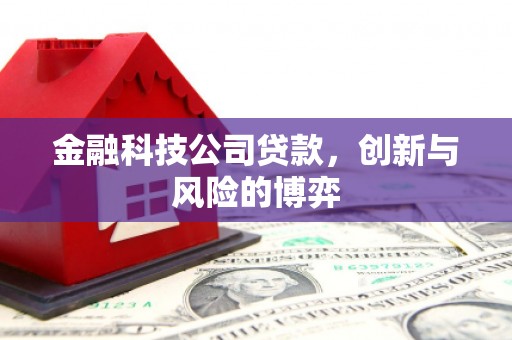 正宁金融科技公司贷款，创新与风险的博弈