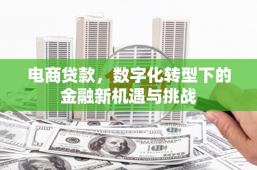 正宁电商贷款，数字化转型下的金融新机遇与挑战