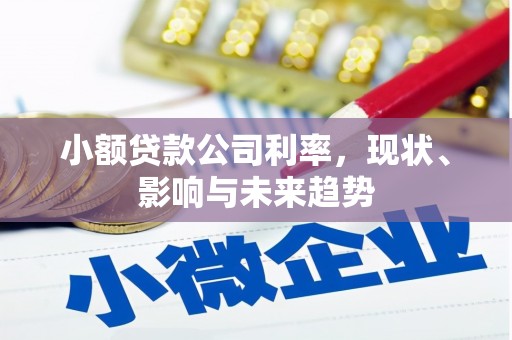 正宁小额贷款公司利率，现状、影响与未来趋势