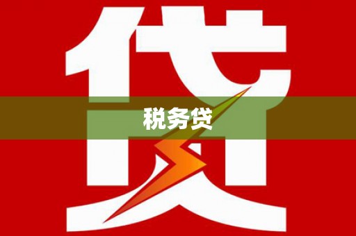 正宁税务贷