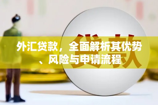 正宁外汇贷款，全面解析其优势、风险与申请流程