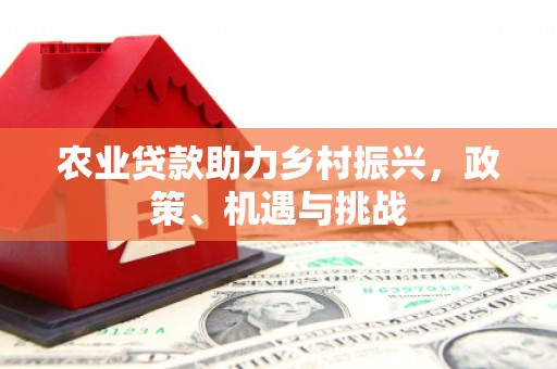 正宁农业贷款助力乡村振兴，政策、机遇与挑战