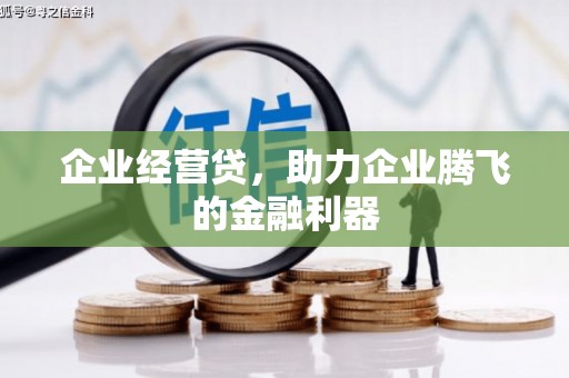 正宁企业经营贷，助力企业腾飞的金融利器