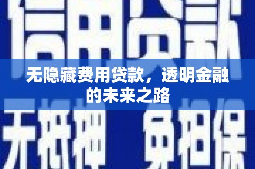 正宁无隐藏费用贷款，透明金融的未来之路
