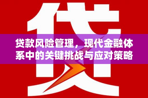 正宁贷款风险管理，现代金融体系中的关键挑战与应对策略