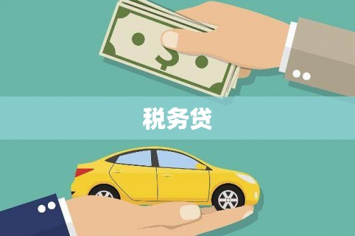 正宁税务贷