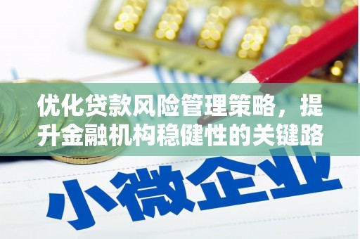 正宁优化贷款风险管理策略，提升金融机构稳健性的关键路径