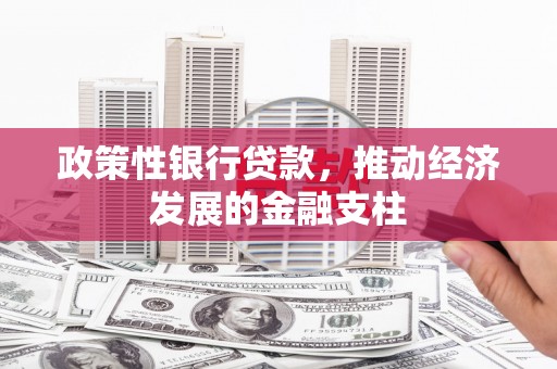正宁政策性银行贷款，推动经济发展的金融支柱
