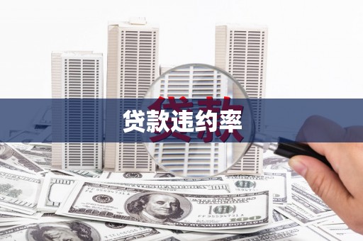 正宁贷款违约率