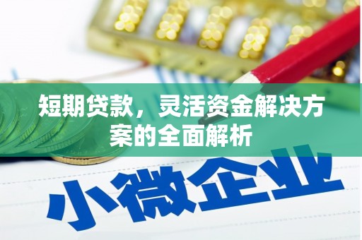 正宁短期贷款，灵活资金解决方案的全面解析