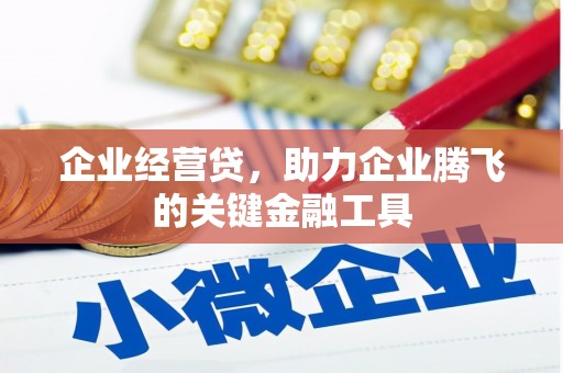 正宁企业经营贷，助力企业腾飞的关键金融工具