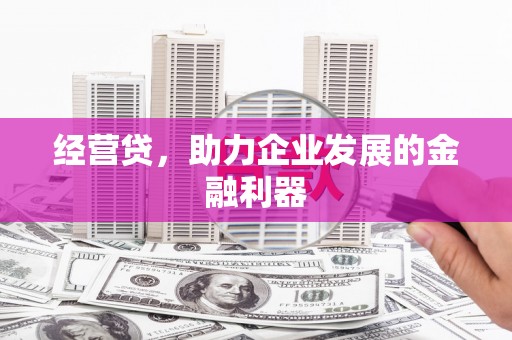 正宁经营贷，助力企业发展的金融利器