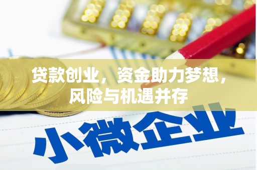 正宁贷款创业，资金助力梦想，风险与机遇并存