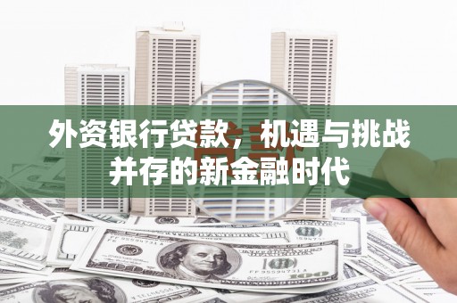 正宁外资银行贷款，机遇与挑战并存的新金融时代
