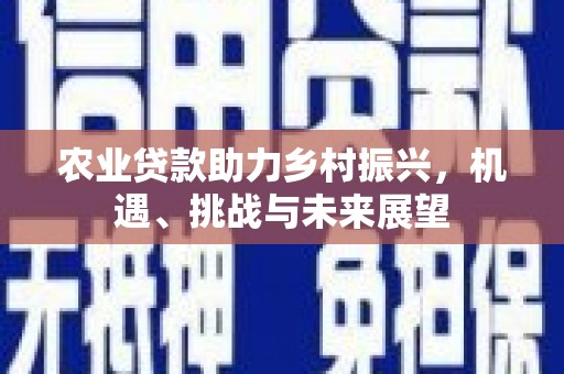 正宁农业贷款助力乡村振兴，机遇、挑战与未来展望