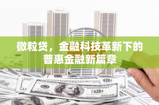 正宁微粒贷，金融科技革新下的普惠金融新篇章