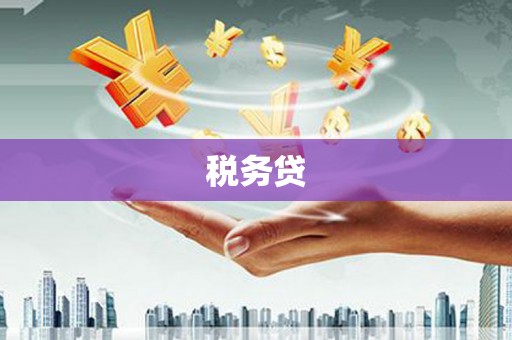正宁税务贷
