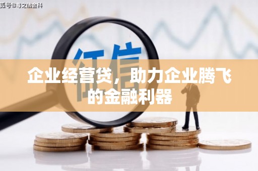 正宁企业经营贷，助力企业腾飞的金融利器