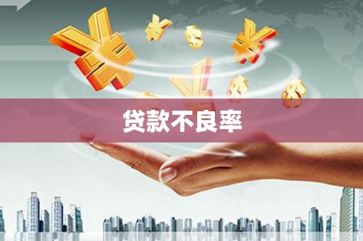 正宁贷款不良率