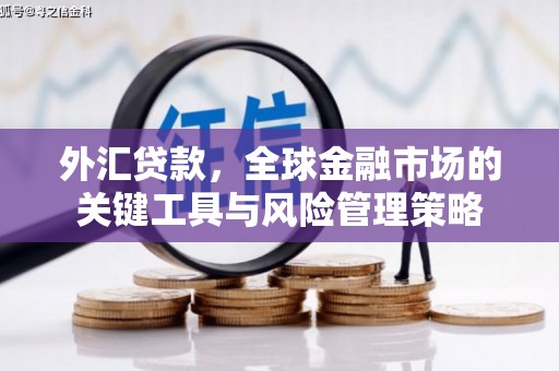 正宁外汇贷款，全球金融市场的关键工具与风险管理策略