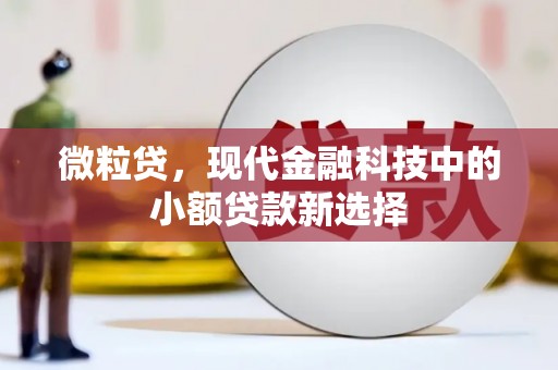 正宁微粒贷，现代金融科技中的小额贷款新选择