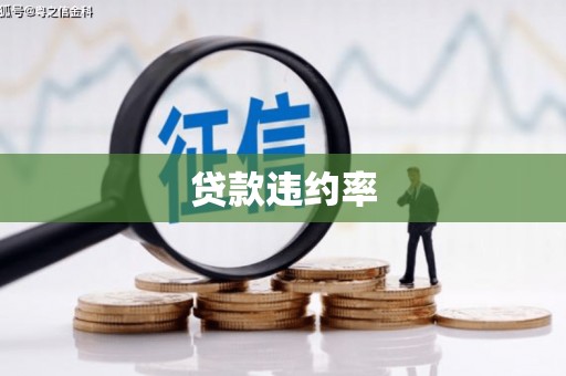 正宁贷款违约率