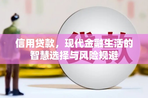 正宁信用贷款，现代金融生活的智慧选择与风险规避