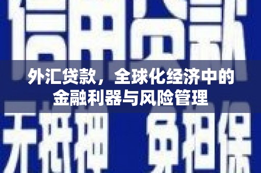 正宁外汇贷款，全球化经济中的金融利器与风险管理