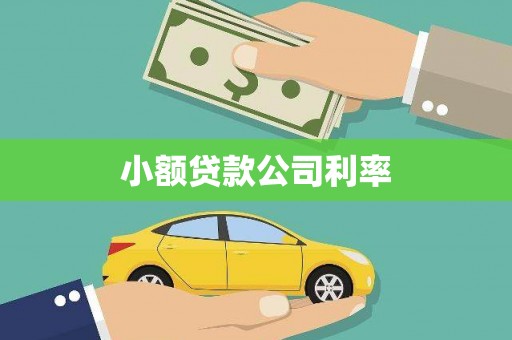 正宁小额贷款公司利率