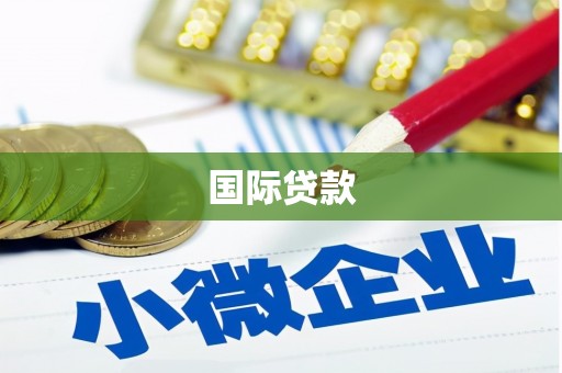 正宁国际贷款