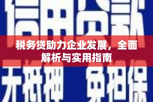 正宁税务贷助力企业发展，全面解析与实用指南